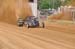 H2043809
