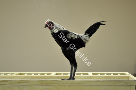 AC04_696