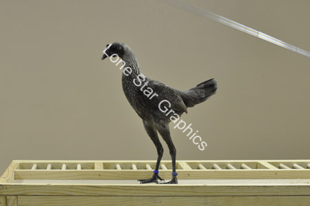 AC05_820