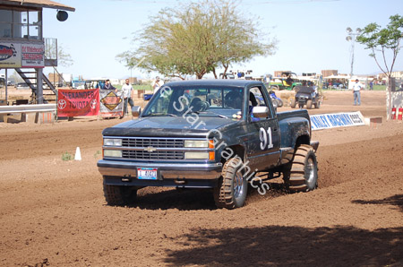 DV264556