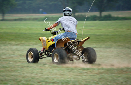 LJ065384