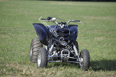 LJ297739