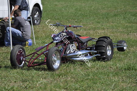 LJ317817