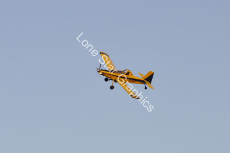 NL554155